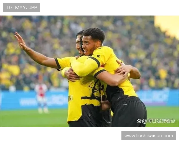 杭州足球队节奏之争引发热议球迷与专家观点交锋解析